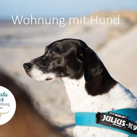 Апартаменты Haus Jungnamen Whg. 1 *