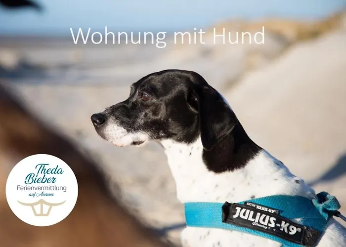 Apartament Haus Jungnamen Whg. 1 *